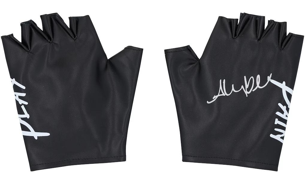 Alexa Bliss Signed Set of Wrestling Gloves (Fanatics) at PristineAuction.com Alexa Bliss Signed Set of Wrestling Gloves (Fanatics) at PristineAuction.com