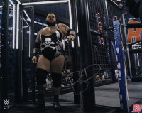 Bronson Reed Signed WWE 16x20 Photo (Fanatics) at PristineAuction.com