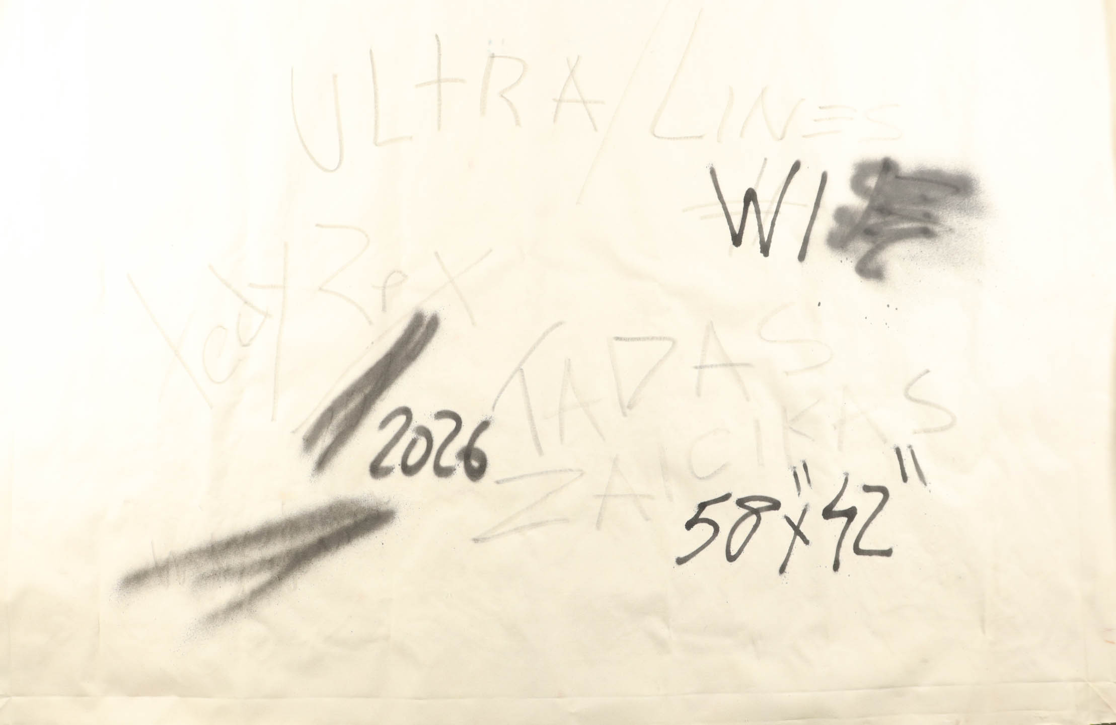 "Ultra Lines W1" 2026 42x58 Original Painting on Canvas by Tadas Zaicikas | TedyZet (Zaicikas) at PristineAuction.com "Ultra Lines W1" 2026 42x58 Original Painting on Canvas by Tadas Zaicikas | TedyZet (Zaicikas) at PristineAuction.com