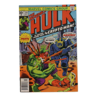 1976 "The Incredible Hulk" Issue #205 Marvel Comic Book at PristineAuction.com