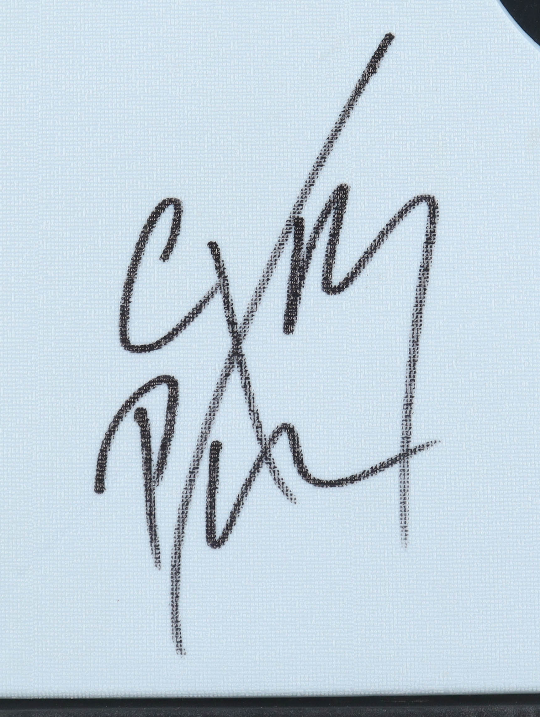 CM Punk Signed WWE Mini Wrestling Ring at PristineAuction.com CM Punk Signed WWE Mini Wrestling Ring at PristineAuction.com