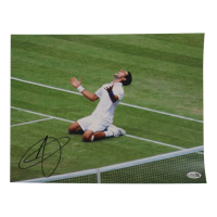 Novak Djokovic Signed 11x14 Photo (JSA) at PristineAuction.com