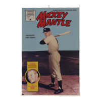 1991 "Mickey Mantle" Issue #1 Magnum Comic Book at PristineAuction.com