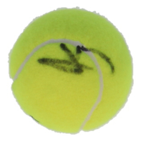 Jannik Sinner Signed Tennis Ball (PSA) at PristineAuction.com