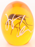 Jeff Goldblum Signed "Jurassic Park" Replica Mosquito In Amber (JSA) at PristineAuction.com