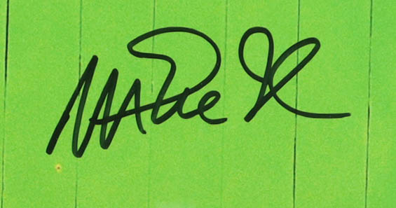 Magic Johnson & Larry Bird Signed Custom Framed Photo Display (Beckett) at PristineAuction.com Magic Johnson & Larry Bird Signed Custom Framed Photo Display (Beckett) at PristineAuction.com