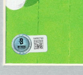 Magic Johnson & Larry Bird Signed Custom Framed Photo Display (Beckett) at PristineAuction.com Magic Johnson & Larry Bird Signed Custom Framed Photo Display (Beckett) at PristineAuction.com