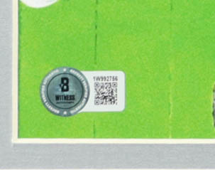 Magic Johnson & Larry Bird Signed Custom Framed Photo Display (Beckett) at PristineAuction.com Magic Johnson & Larry Bird Signed Custom Framed Photo Display (Beckett) at PristineAuction.com