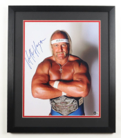 Hulk Hogan Signed WWE Custom Framed Photo Display (Beckett) at PristineAuction.com