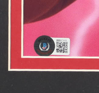 Hulk Hogan Signed WWE Custom Framed Photo Display (Beckett) at PristineAuction.com Hulk Hogan Signed WWE Custom Framed Photo Display (Beckett) at PristineAuction.com