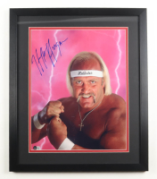 Hulk Hogan Signed WWE Custom Framed Photo Display (Beckett) at PristineAuction.com