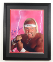 Hulk Hogan Signed WWE Custom Framed Photo Display (Beckett) at PristineAuction.com