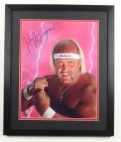 Hulk Hogan Signed WWE Custom Framed Photo Display (Beckett) at PristineAuction.com