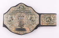 Ric Flair Signed WWE World Heavyweight Championship Belt (JSA) at PristineAuction.com