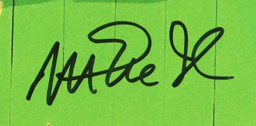 Magic Johnson & Larry Bird Signed Custom Framed Photo Display (Beckett) at PristineAuction.com Magic Johnson & Larry Bird Signed Custom Framed Photo Display (Beckett) at PristineAuction.com