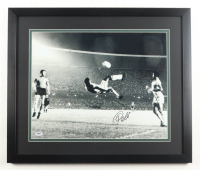 Pele Signed Team Brazil Custom Framed Photo Display (PSA) at PristineAuction.com