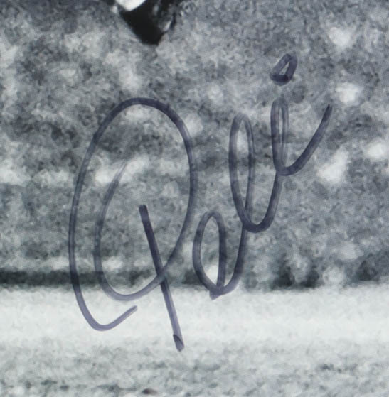 Pele Signed Team Brazil Custom Framed Photo Display (PSA) at PristineAuction.com Pele Signed Team Brazil Custom Framed Photo Display (PSA) at PristineAuction.com