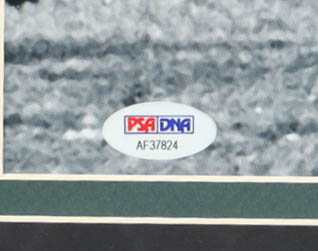 Pele Signed Team Brazil Custom Framed Photo Display (PSA) at PristineAuction.com Pele Signed Team Brazil Custom Framed Photo Display (PSA) at PristineAuction.com