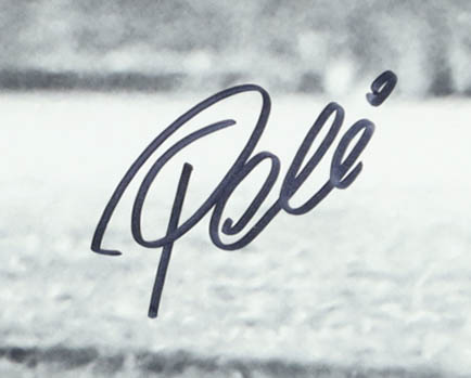 Pele Signed Team Brazil Custom Framed Photo Display (PSA) at PristineAuction.com Pele Signed Team Brazil Custom Framed Photo Display (PSA) at PristineAuction.com