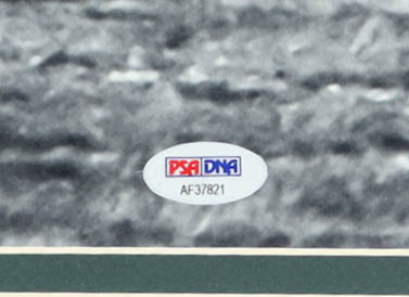 Pele Signed Team Brazil Custom Framed Photo Display (PSA) at PristineAuction.com Pele Signed Team Brazil Custom Framed Photo Display (PSA) at PristineAuction.com