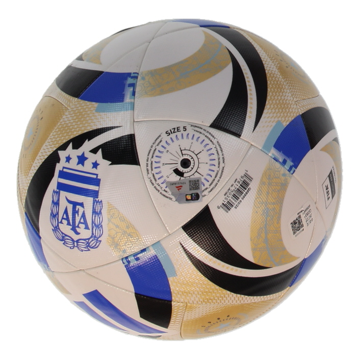 Lionel Messi Signed 2022 Adidas Argentina World Cup Soccer Ball (Fanatics) at PristineAuction.com Lionel Messi Signed 2022 Adidas Argentina World Cup Soccer Ball (Fanatics) at PristineAuction.com