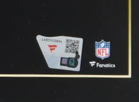 Mike Alstott Signed Buccaneers 16x20 Photo (Fanatics) at PristineAuction.com Mike Alstott Signed Buccaneers 16x20 Photo (Fanatics) at PristineAuction.com