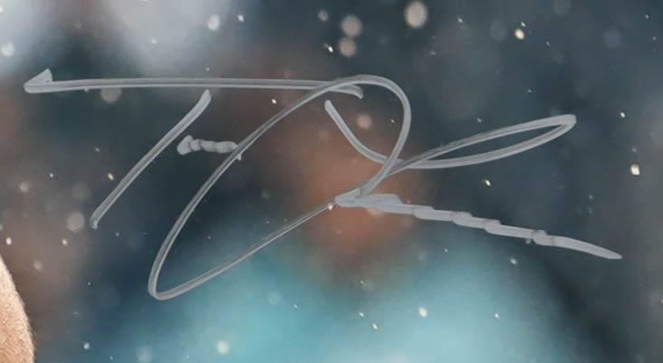 Trevor Lawrence Signed Jaguars 16x20 Photo (Fanatics) at PristineAuction.com Trevor Lawrence Signed Jaguars 16x20 Photo (Fanatics) at PristineAuction.com