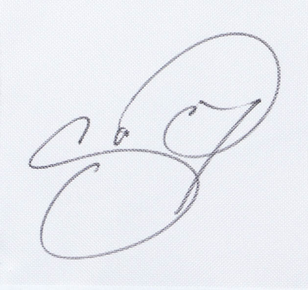 Jason Day Signed 2026 The Players Golf Pin Flag (JSA) at PristineAuction.com Jason Day Signed 2026 The Players Golf Pin Flag (JSA) at PristineAuction.com