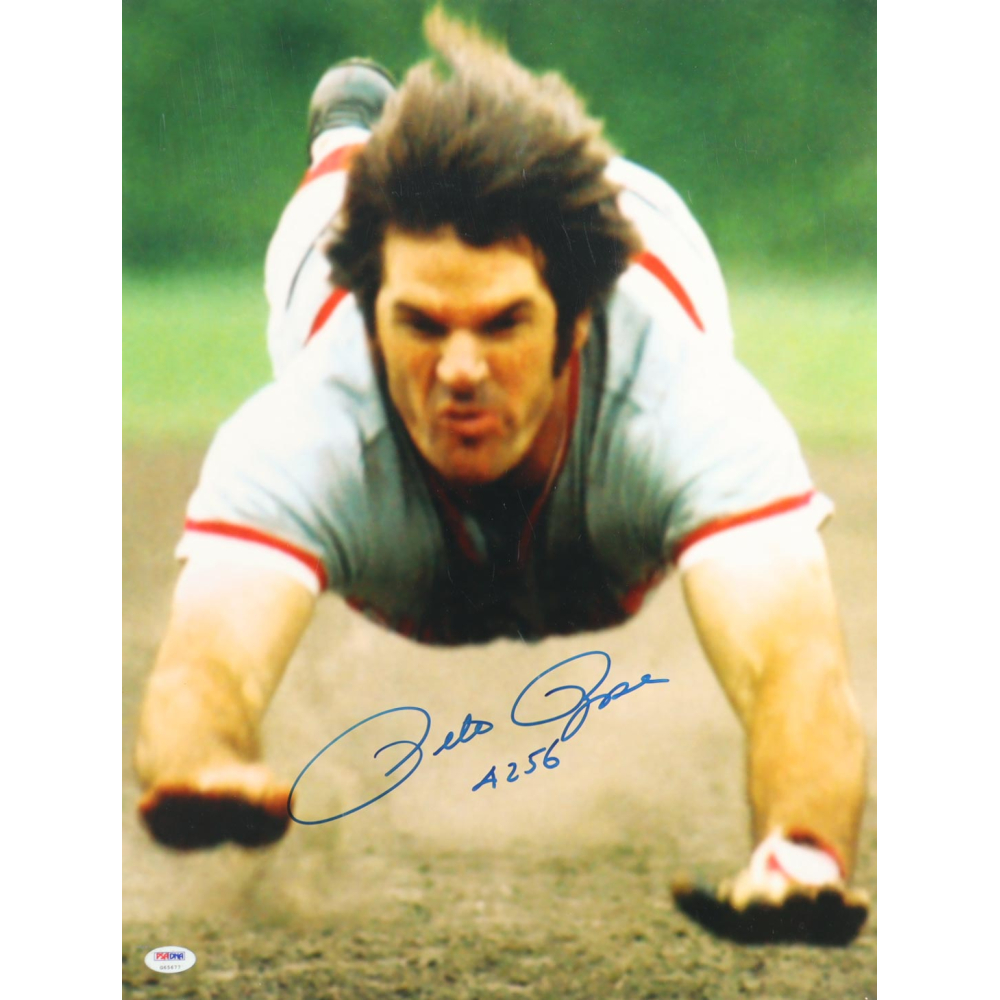 Pete Rose Signed Reds 16x20 Photo Inscribed "4256" (PSA) at PristineAuction.com
