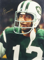 Joe Namath Signed Jets 30x40 Poster (PSA) at PristineAuction.com