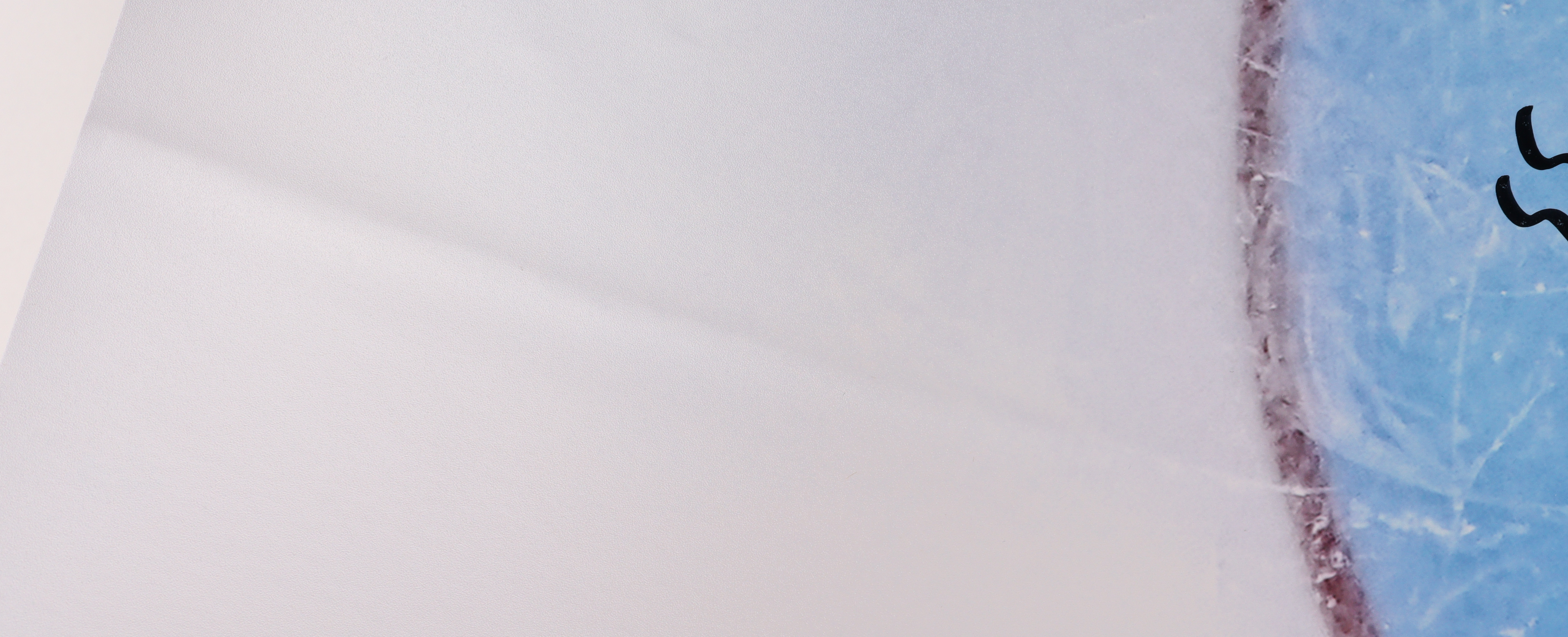 Adin Hill Signed Golden Knights 16x20 Photo (Fanatics) at PristineAuction.com Adin Hill Signed Golden Knights 16x20 Photo (Fanatics) at PristineAuction.com