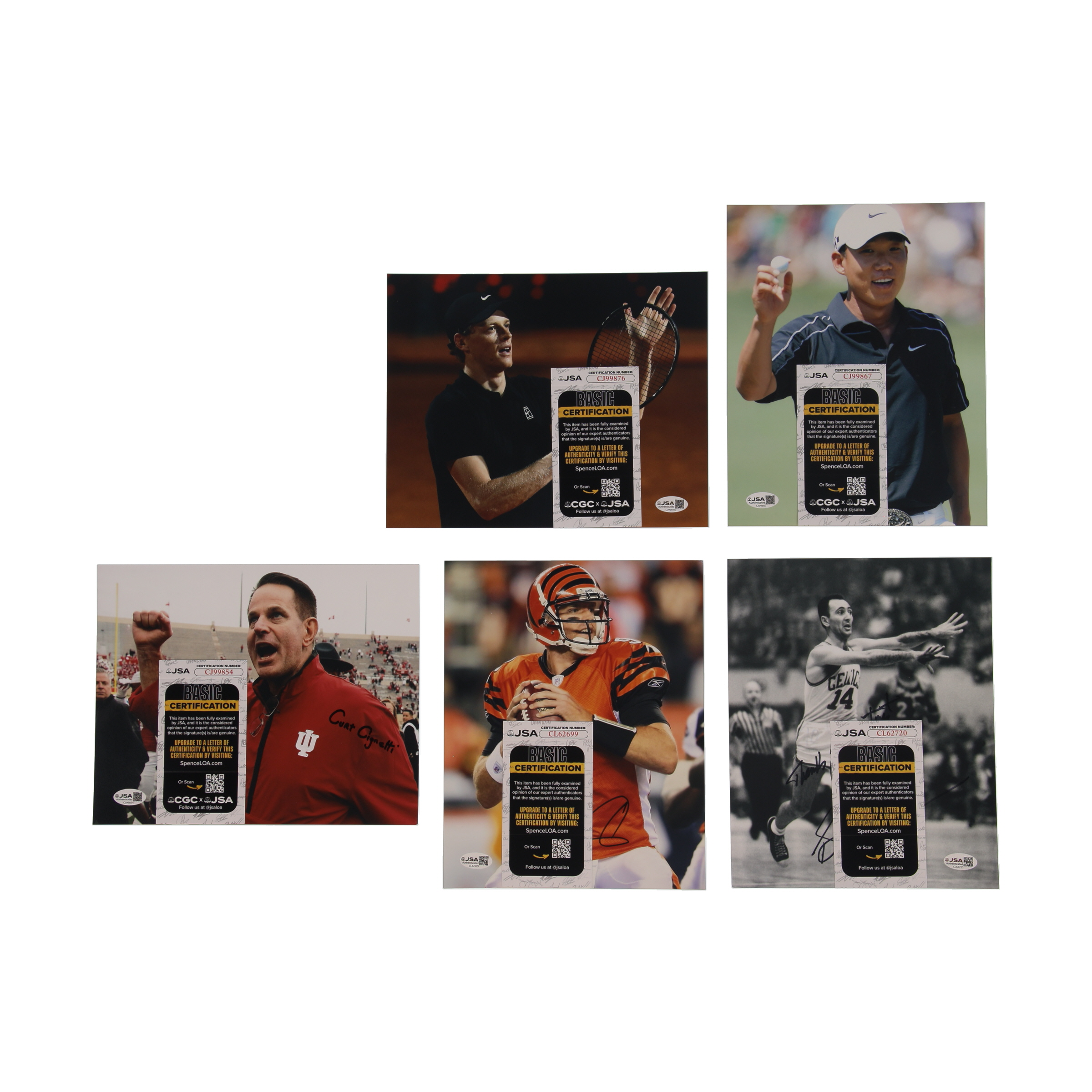 Curt Cignetti Signed Indiana Hoosiers 8x10 Photo (JSA) at PristineAuction.com Curt Cignetti Signed Indiana Hoosiers 8x10 Photo (JSA) at PristineAuction.com