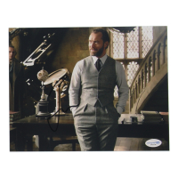 Jude Law Signed "Fantastic Beasts: The Crimes of Grindlewald" 8x10 Photo (ACOA) at PristineAuction.com