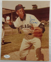 Ernie Banks Signed Cubs 8x10 Photo (JSA) at PristineAuction.com