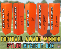 Football AWARD WINNER Signed Endzone Pylon Mystery Box - Series 18 (Limited to 75) - Schwartz Sports at PristineAuction.com