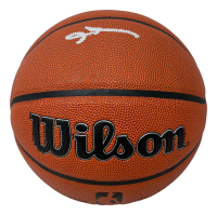 Allen Iverson Signed NBA Basketball (JSA) at PristineAuction.com