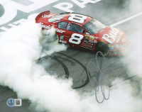 Dale Earnhardt Jr. Signed NASCAR 8x10 Photo (Beckett) at PristineAuction.com
