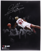 Dennis Rodman Signed Bulls 16x20 Photo (Schwartz) at PristineAuction.com