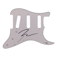 Jeremy Allen White Signed 11" Guitar Pickguard (JSA) at PristineAuction.com