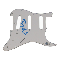 Billie Joe Armstrong Signed 11" Guitar Pickguard (Beckett) at PristineAuction.com