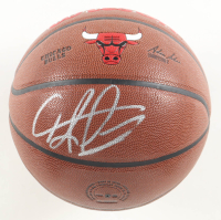 Dennis Rodman Signed Bulls Logo Basketball (Schwartz) at PristineAuction.com