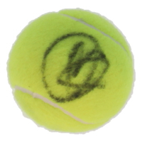 Novak Djokovic Signed Tennis Ball (Beckett) at PristineAuction.com