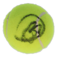 Novak Djokovic Signed Tennis Ball (Beckett) at PristineAuction.com