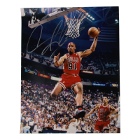 Dennis Rodman Signed 16x20 Photo (JSA) at PristineAuction.com