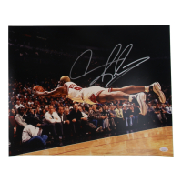 Dennis Rodman Signed 16x20 Photo (JSA) at PristineAuction.com