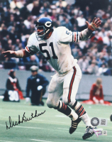 Dick Butkus Signed Bears 8x10 Photo (Schwartz & Fanatics) at PristineAuction.com