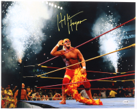 Hulk Hogan Signed WWE 16x20 Photo (JSA) at PristineAuction.com