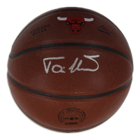 Toni Kukoc Signed Bulls Logo NBA Basketball (Schwartz) at PristineAuction.com