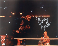 Bray Wyatt Signed WWE 16x20 Photo (JSA) at PristineAuction.com