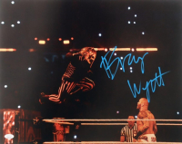 Bray Wyatt Signed WWE 16x20 Photo (JSA) at PristineAuction.com